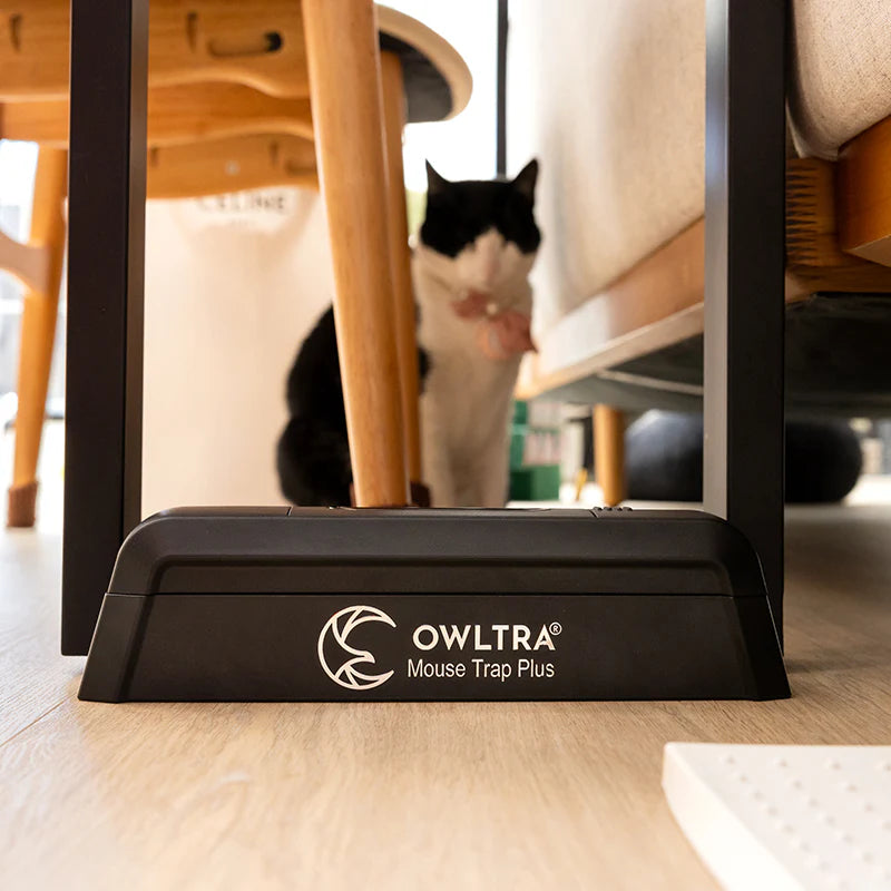 OW2-Plus Indoor Dual Entrance Electronic Mouse Trap